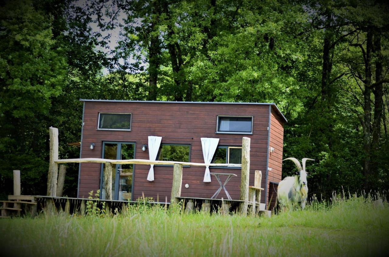 Appartamento La Tiny House Terra Nostra Saint-Bazile Esterno foto